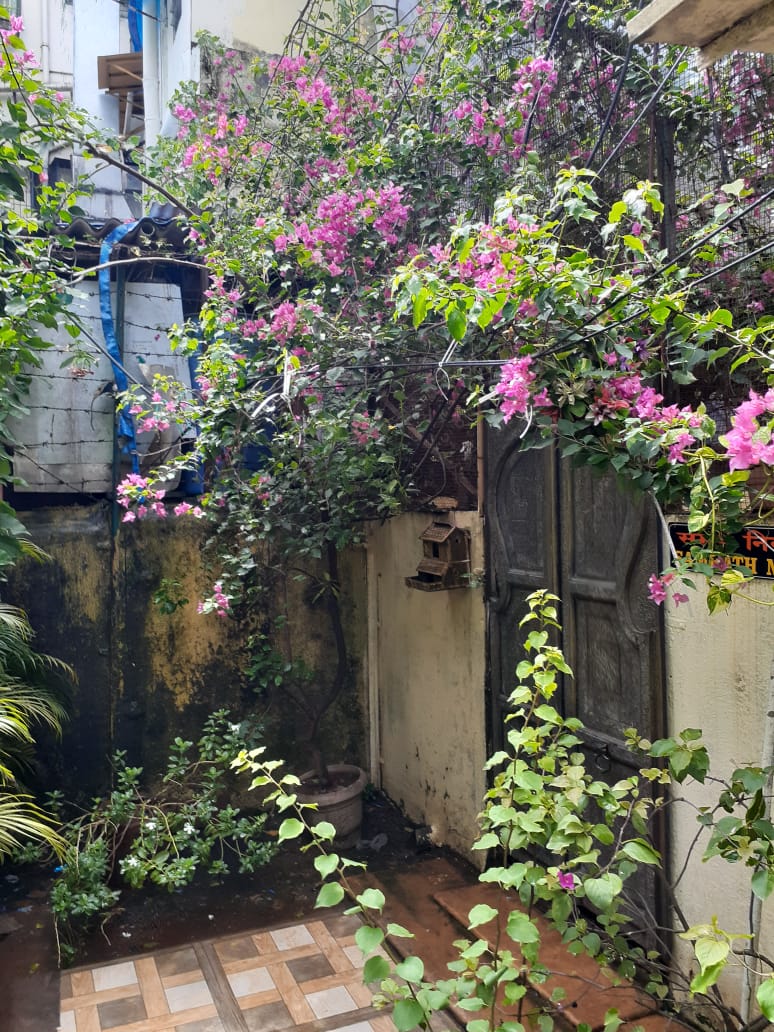 3 BHK Semi Furnished in Villa , Khar West